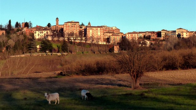 Agliano Terme