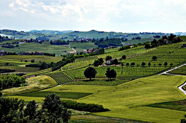 Area picnic | Agliano Terme (piazza Castello)	